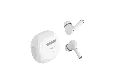 12.webp